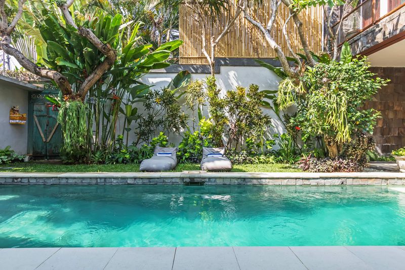 Swimming pool framed by tropical planting